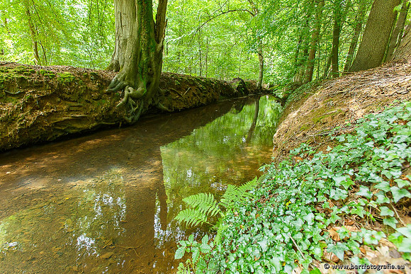 Beken divers Bart Fotografie-057