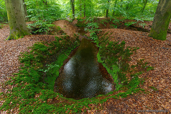 Beken divers Bart Fotografie-073
