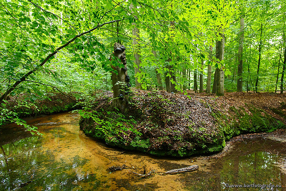 Beken divers Bart Fotografie-085