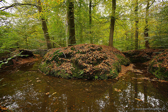 Beken divers Bart Fotografie-089