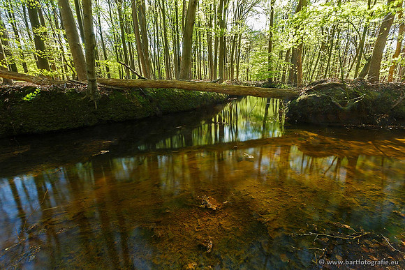 Beken divers Bart Fotografie-095