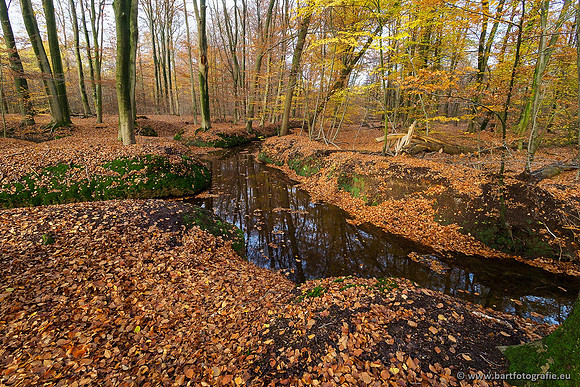 Beken divers Bart Fotografie-102