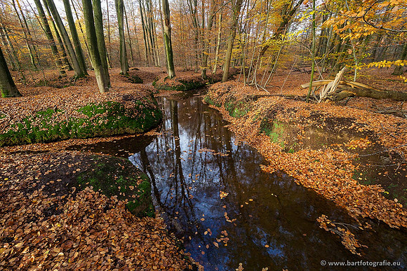 Beken divers Bart Fotografie-103