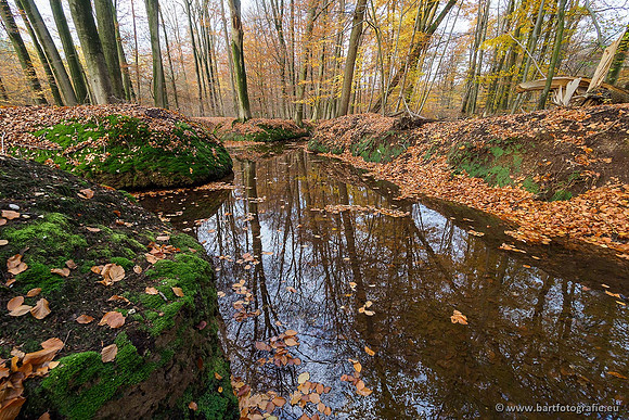 Beken divers Bart Fotografie-105