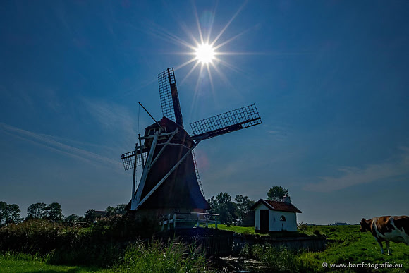 Selectie 2020 Bart Fotografie-045