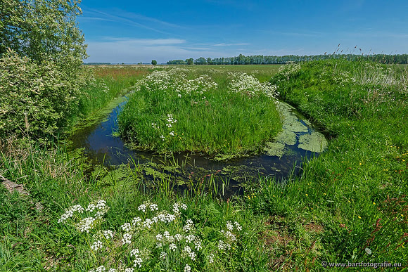 Selectie 2020 Bart Fotografie-058