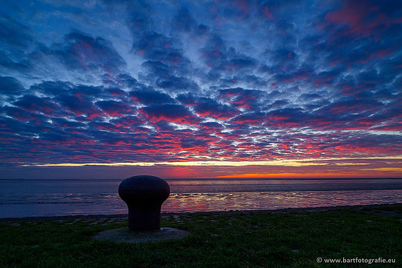 Selectie 2020 Bart Fotografie-180