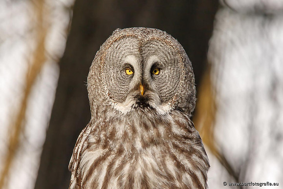 Exoten, Bart Fotografie-028