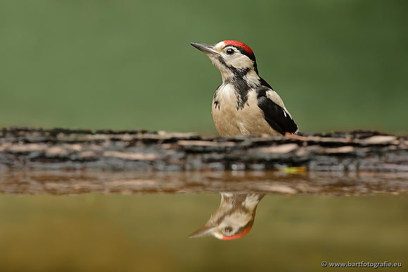 Holenbroeders, Bart Fotografie-041