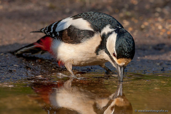 Holenbroeders, Bart Fotografie-088