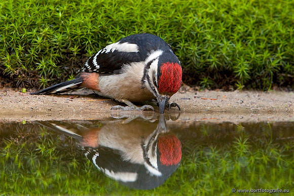 Holenbroeders, Bart Fotografie-119
