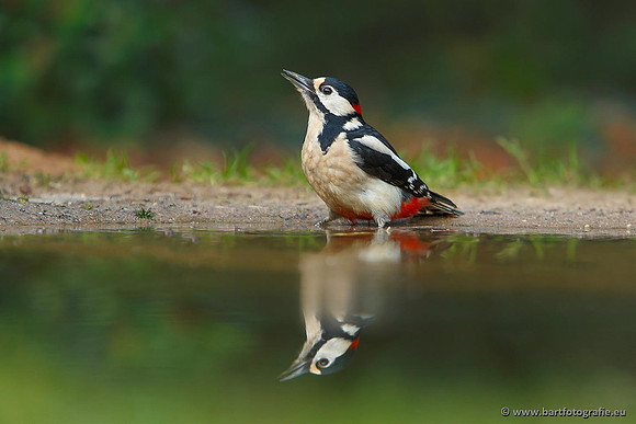 Holenbroeders, Bart Fotografie-138