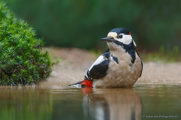 Holenbroeders, Bart Fotografie-144