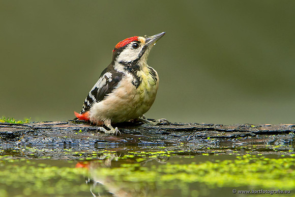 Holenbroeders, Bart Fotografie-178