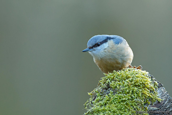 Holenbroeders, Bart Fotografie-206
