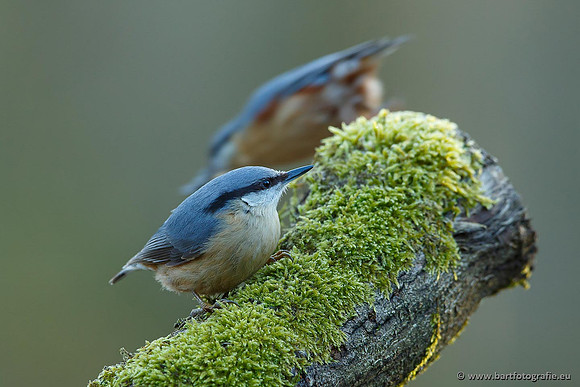 Holenbroeders, Bart Fotografie-208