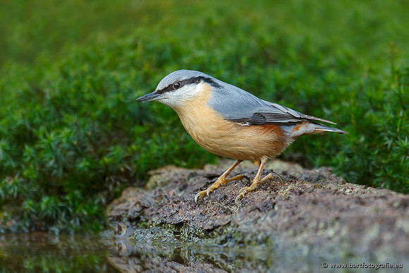 Holenbroeders, Bart Fotografie-212