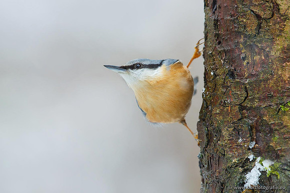 Holenbroeders, Bart Fotografie-216