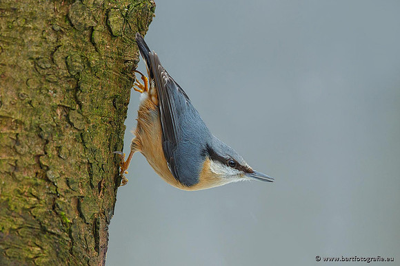 Holenbroeders, Bart Fotografie-218