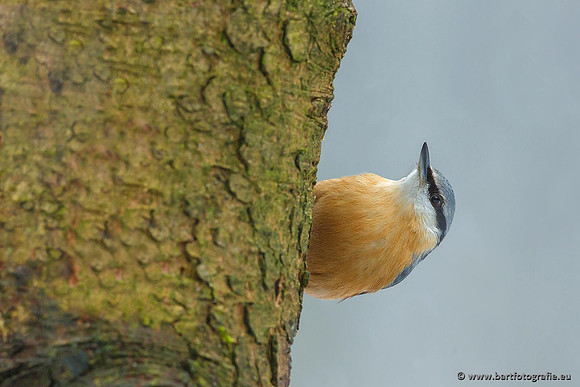 Holenbroeders, Bart Fotografie-219