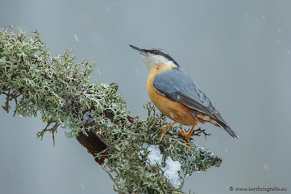 Holenbroeders, Bart Fotografie-223