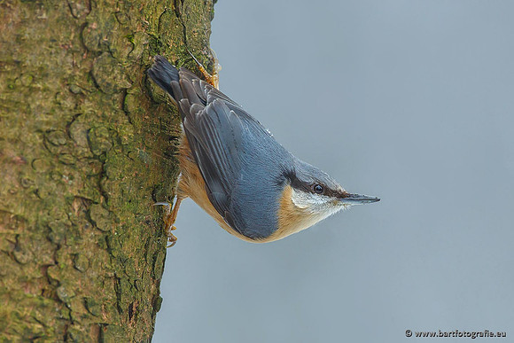 Holenbroeders, Bart Fotografie-232