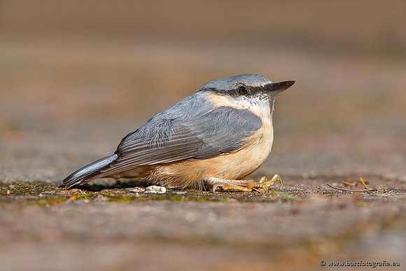 Holenbroeders, Bart Fotografie-234