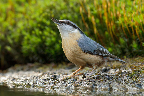 Holenbroeders, Bart Fotografie-244