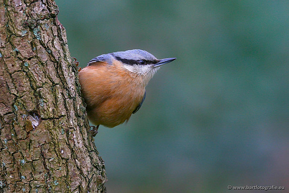 Holenbroeders, Bart Fotografie-260