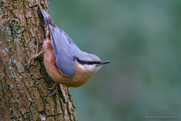 Holenbroeders, Bart Fotografie-262