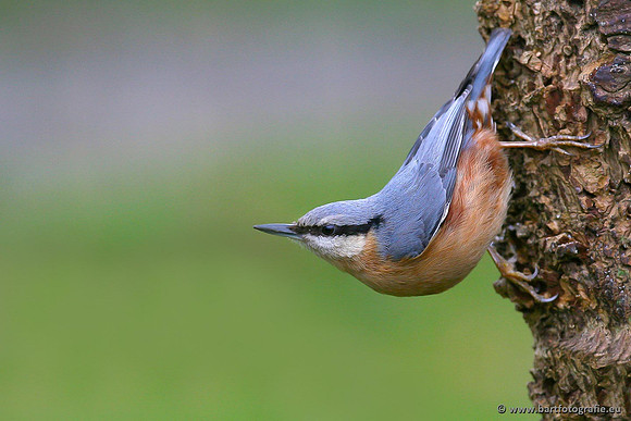 Holenbroeders, Bart Fotografie-264