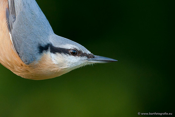 Holenbroeders, Bart Fotografie-267