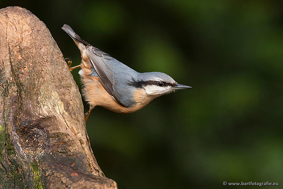 Holenbroeders, Bart Fotografie-281