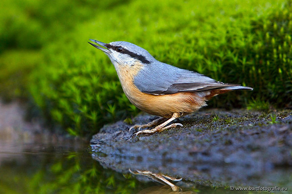 Holenbroeders, Bart Fotografie-302