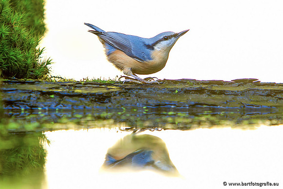 Holenbroeders, Bart Fotografie-311