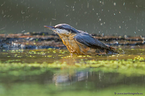 Holenbroeders, Bart Fotografie-313