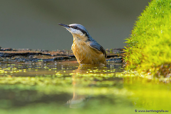 Holenbroeders, Bart Fotografie-314