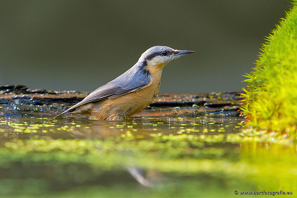Holenbroeders, Bart Fotografie-315