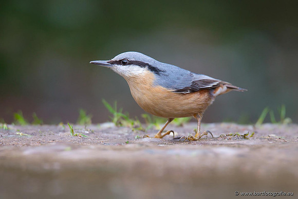 Holenbroeders, Bart Fotografie-326