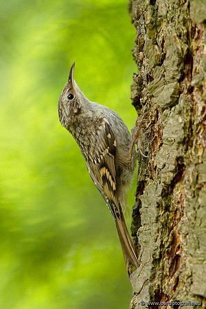 Holenbroeders, Bart Fotografie-343