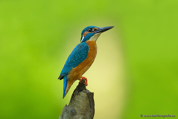 Holenbroeders, Bart Fotografie-345