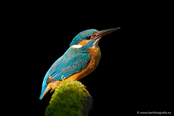 Holenbroeders, Bart Fotografie-357