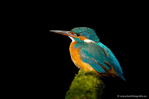 Holenbroeders, Bart Fotografie-356