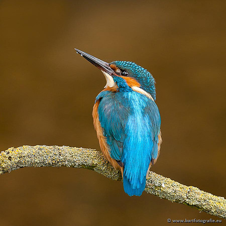 Holenbroeders, Bart Fotografie-372