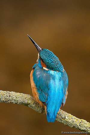 Holenbroeders, Bart Fotografie-374