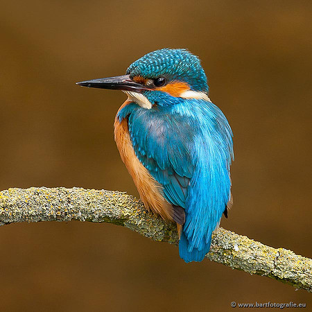 Holenbroeders, Bart Fotografie-375