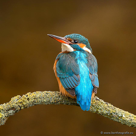 Holenbroeders, Bart Fotografie-377