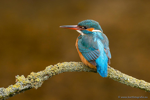 Holenbroeders, Bart Fotografie-378