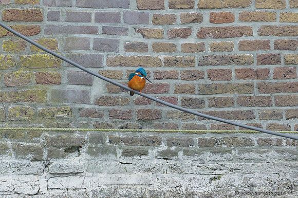 Holenbroeders, Bart Fotografie-407