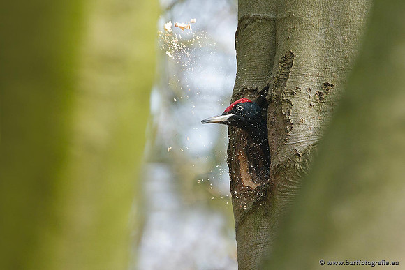 Holenbroeders, Bart Fotografie-412